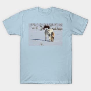 Wild horses, Arizona, nature, wildlife, gifts T-Shirt